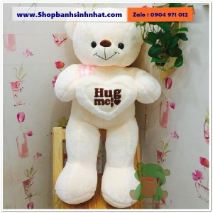 Gấu Bông Teddy Hàn Quốc - GAU62